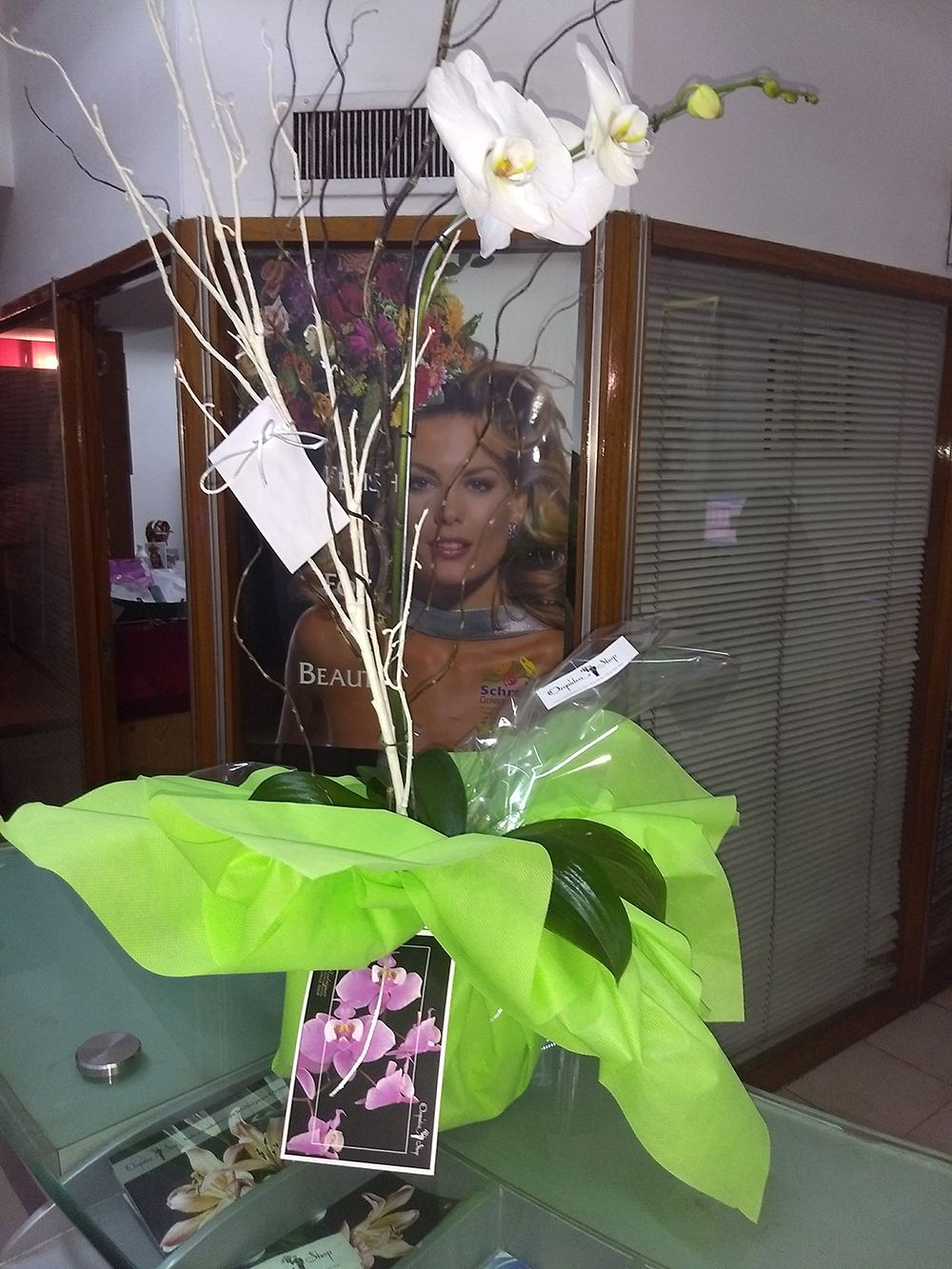 LA MEJOR FLOR